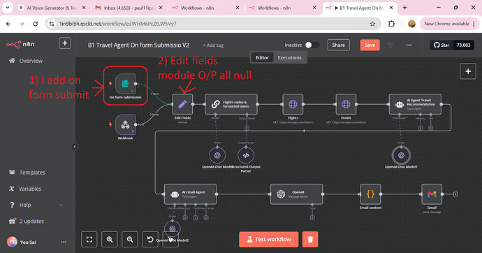 my workflow add on form summit output all null