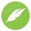 Dreamystify