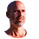 ivo
